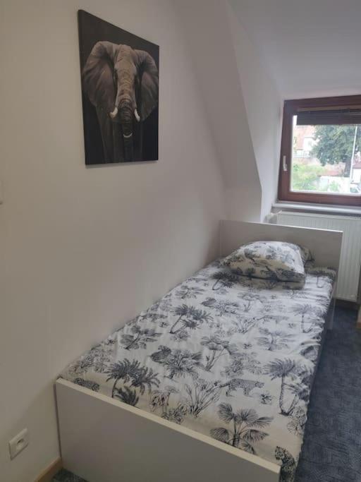 Tres Bel Appart Charmant 85M2 Parking Gratuit Molsheim Εξωτερικό φωτογραφία