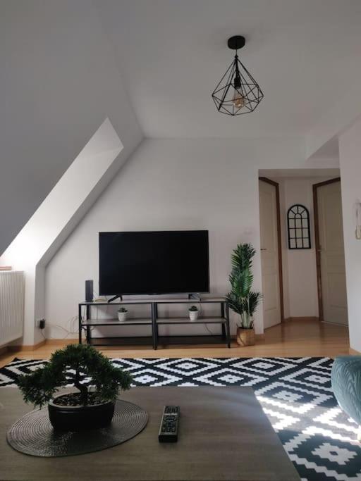 Tres Bel Appart Charmant 85M2 Parking Gratuit Molsheim Εξωτερικό φωτογραφία